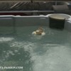Jacuzzi